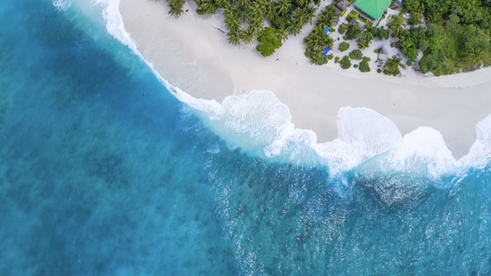 Aerial view of waves breaking on a palm-fringed shore
