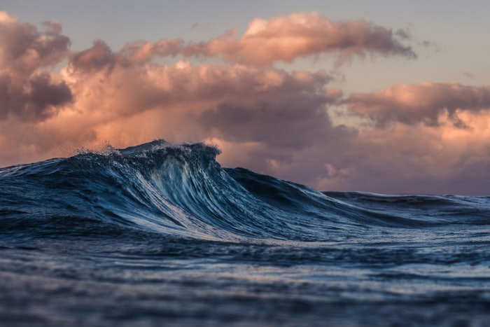 Ocean wave rising at sunset under pink clouds